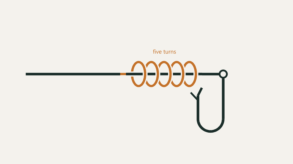 Blood Knot: How to Tie It, Turn Counts, and When to Use It 1 Close-up of a blood knot tied in monofilament line, attached to a hook eye, showing the five turns wrapped and the tag end trimmed