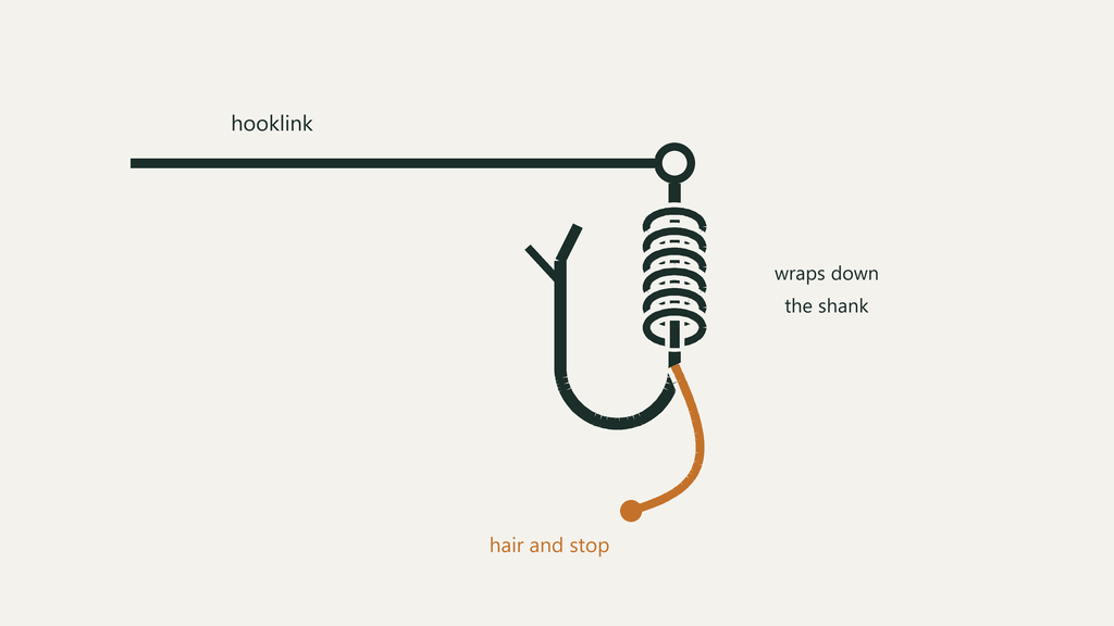 Close-up of a finished knotless knot hair rig, showing the hair emerging from the bend of a wide-gape carp hook, a small stop on the hair below, and the neat parallel wraps of the hooklink along the shank